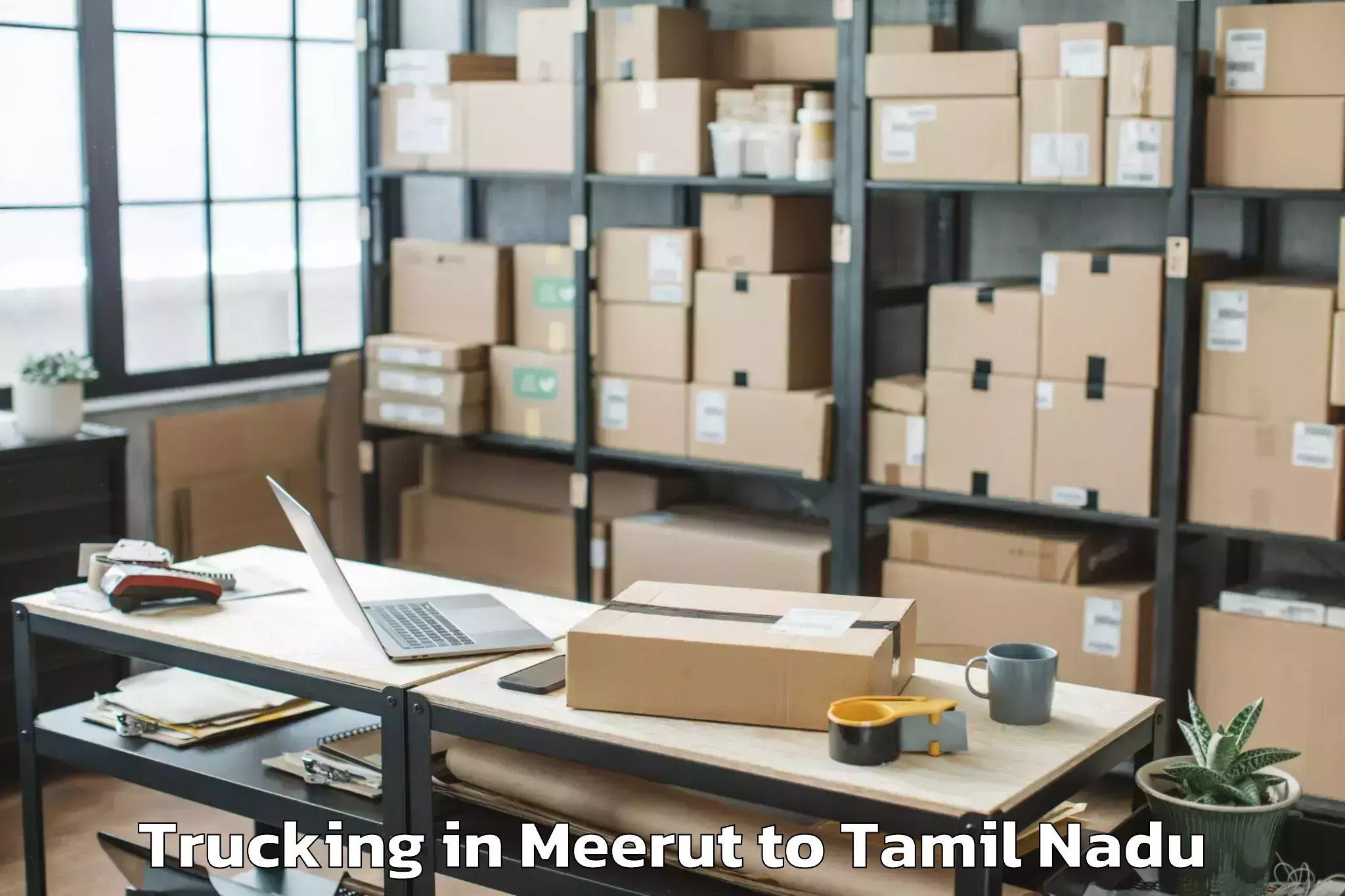 Reliable Meerut to Srivilliputhur Trucking